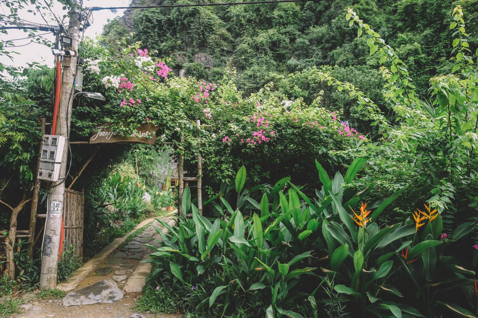 Trang An Ecolodge نينه بينه المظهر الخارجي الصورة